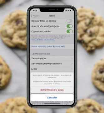 Borrar cookies en iPhone